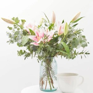 Ramos Colección Esencial