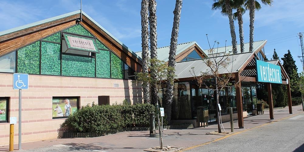 Paterna